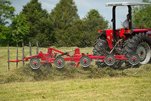Massey Ferguson Rakes & Tedders