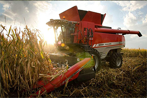 Massey Ferguson Cropheads