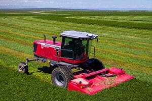 Massey Ferguson Self-Propelled Windrowers