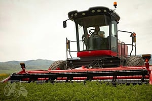 Massey Ferguson Windrowers